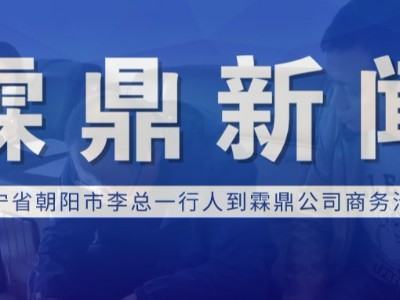 【霖鼎新聞】遼寧省朝陽市李總一行人到霖鼎公司商務(wù)洽談