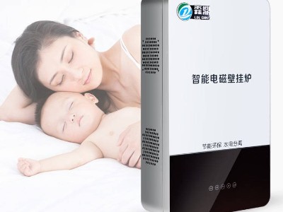 農(nóng)村電鍋爐會像家用電器一樣普及！